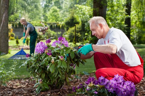 Gardening professional assessing a lawn and garden boundaries